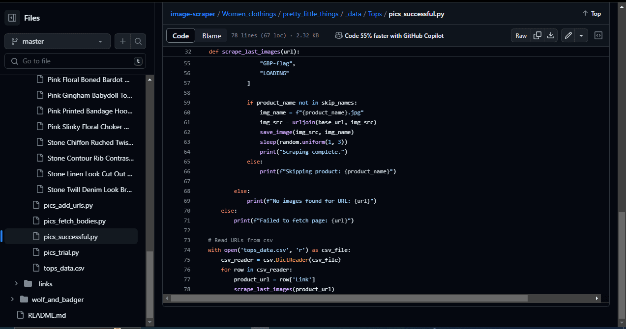Fashion Image Scraper: Large-Scale Dataset Collection